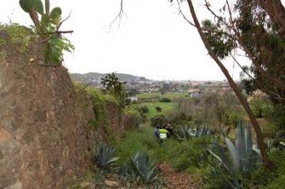 La Laguna y Tegueste recuperan un antiguo sendero a través de San Diego para la Romería del domingo.